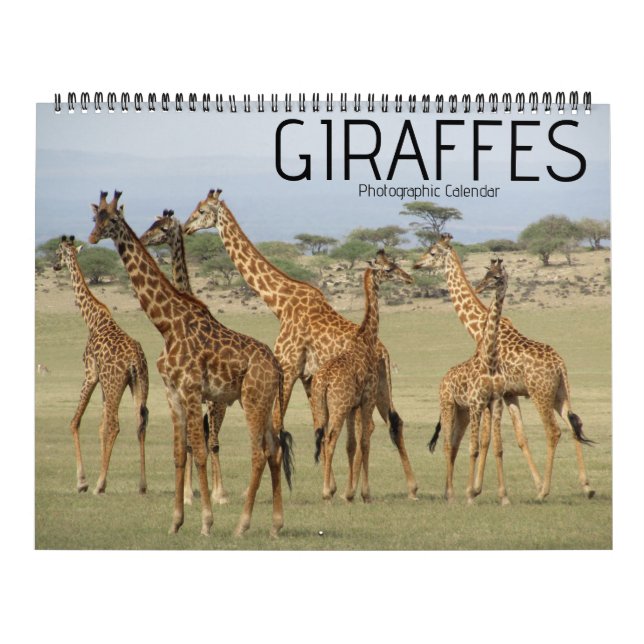 Giraffe Safari 2025 großer Kalender (Titelbild)
