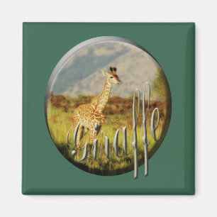 Giraffe Safarimagnete Magnet