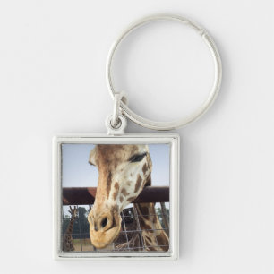 Giraffe Schlüsselanhänger