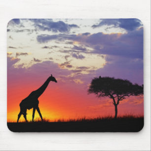 Giraffe, Silhouette bei Sonnenaufgang, Giraffa Mousepad