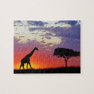 Giraffe, Silhouette bei Sonnenaufgang, Giraffa Puzzle