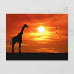 Giraffe Silhouette bei Sonnenuntergang Postkarte