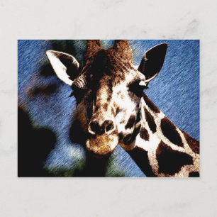 Giraffe Sketch Postkarte