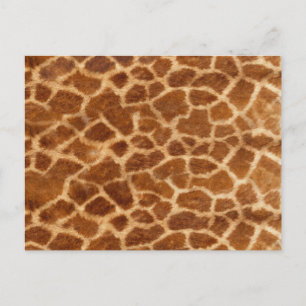 Giraffe Skin Postkarte