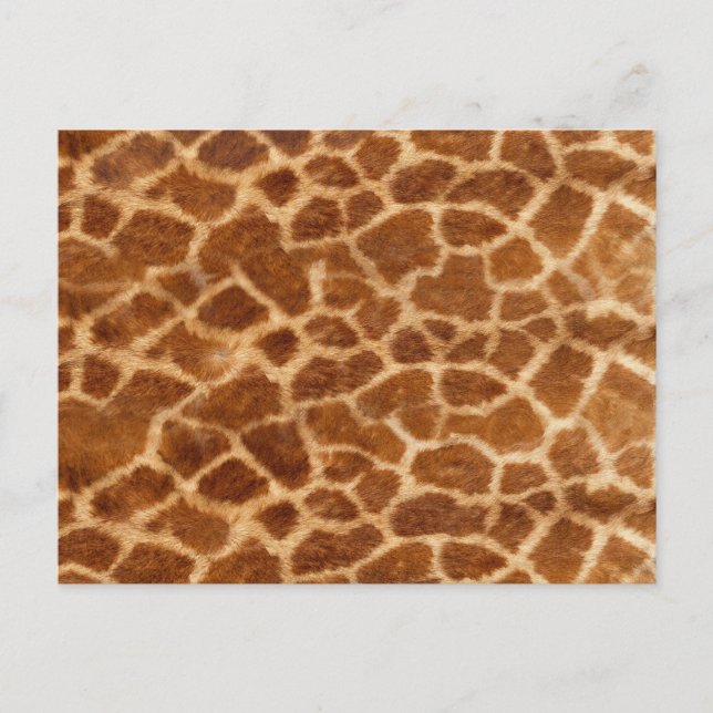 Giraffe Skin Postkarte (Vorderseite)