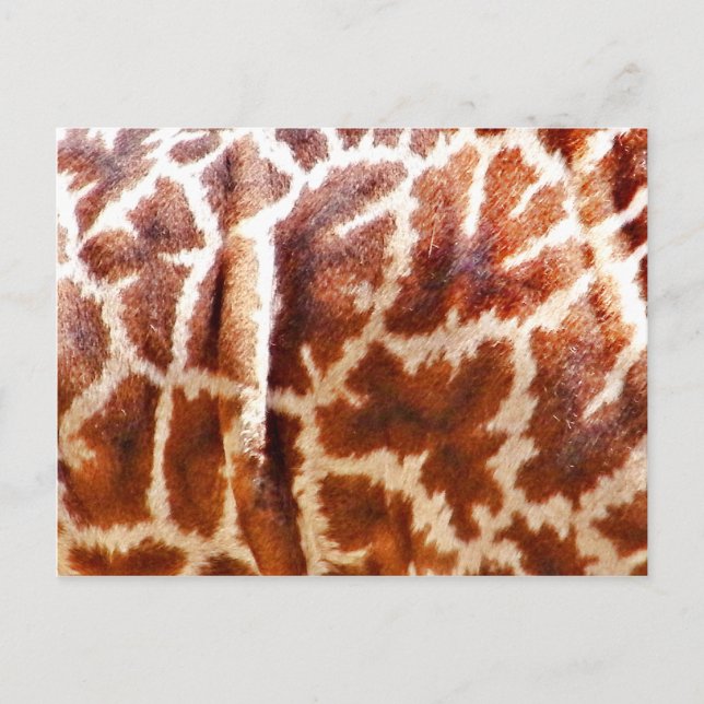 Giraffe Skin_ Postkarte (Vorderseite)
