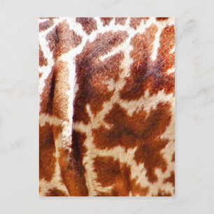 Giraffe Skin_ Postkarte