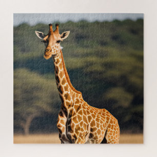 Giraffe Stehend Tall Puzzle