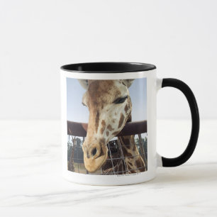 Giraffe Tasse