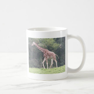 Giraffe Tasse