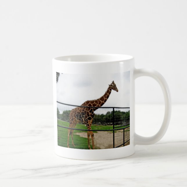 Giraffe Tierfotografie Tasse (Rechts)