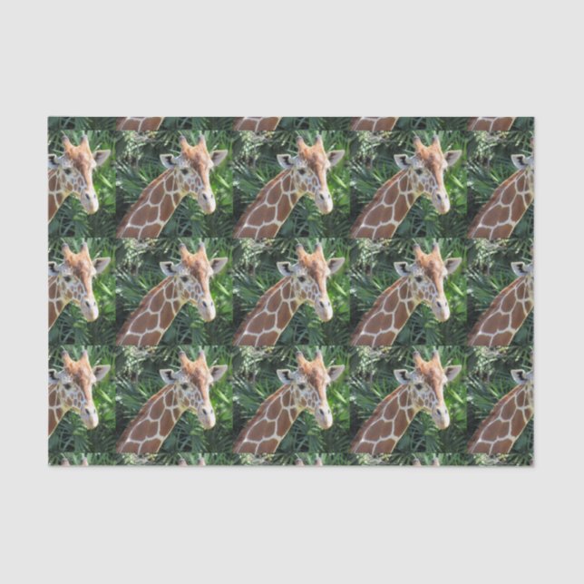 Giraffe Tissue Paper Seidenpapier (Vorderseite)