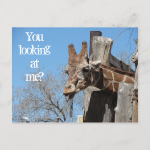 Giraffe Tongues Postkarte