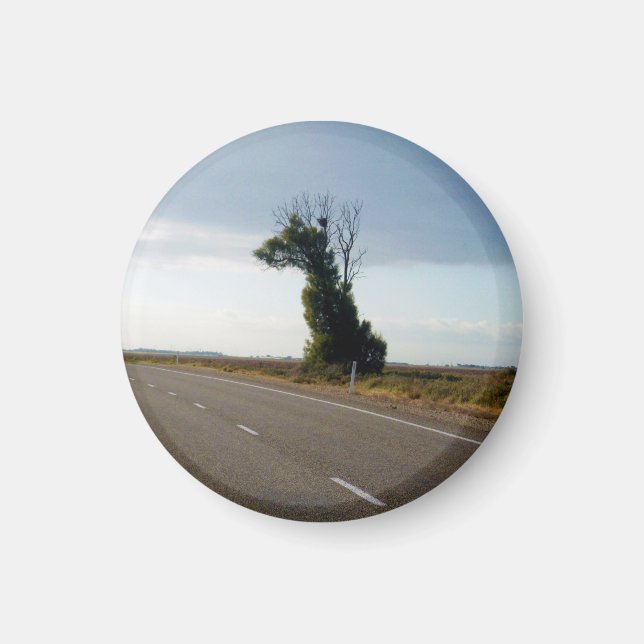 Giraffe Tree aus Südaustralien, Magnet (Vorne)