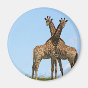 Giraffe Twins Magnet