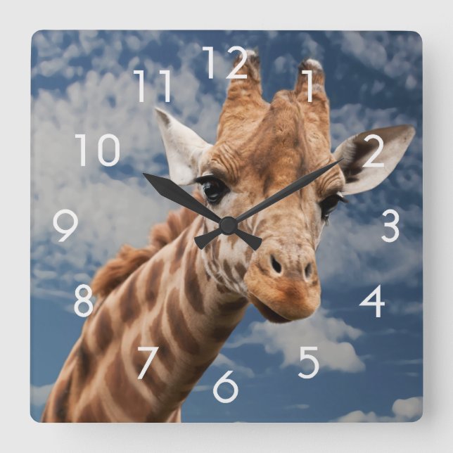 Giraffe und Blue Sky Foto Clock Quadratische Wanduhr (Vorderseite)