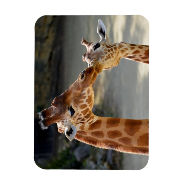 Giraffe und ihr Baby Magnet (Vertikal)