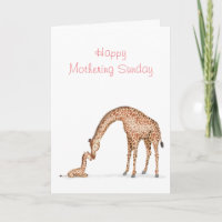 Giraffe und Kalb Sonntagskarte