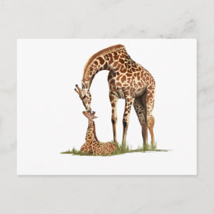 Giraffe und Küssen von Kleinkälbern Postkarte