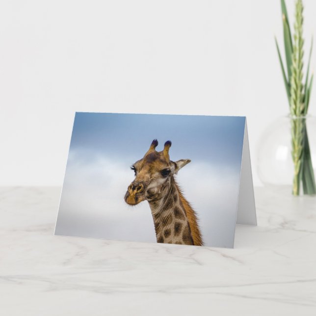 Giraffe von Südafrika Karte (Vorderseite)