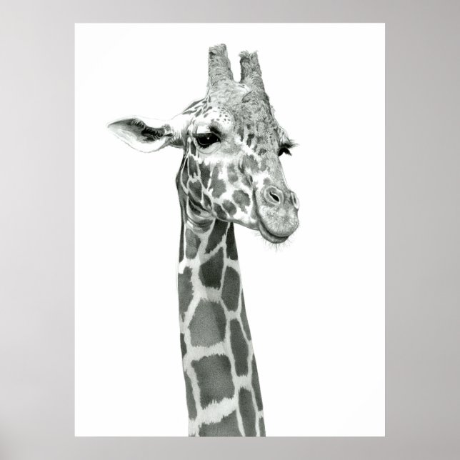 Giraffe Zeichnend Poster (Vorne)