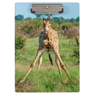 Giraffe-Zwischenablage Klemmbrett