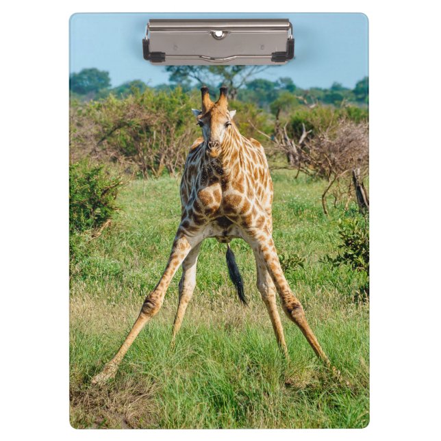 Giraffe-Zwischenablage Klemmbrett (Vorderseite)