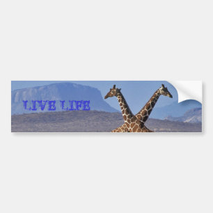 Giraffen [1], LIVEleben Autoaufkleber