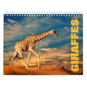 Giraffen 2022 Mauerkalender Kalender