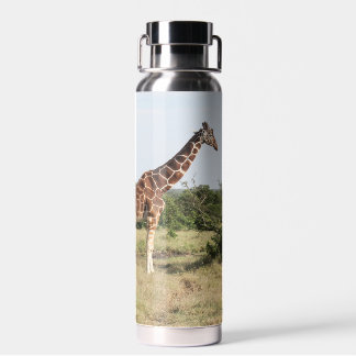 Giraffen 22 oz. isolierte Wasserflasche Trinkflasche