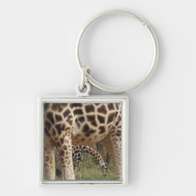 Giraffen 2 schlüsselanhänger (Vorne)