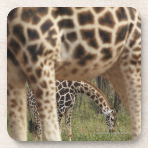 Giraffen 2 untersetzer