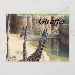 Giraffen # 7 postkarte