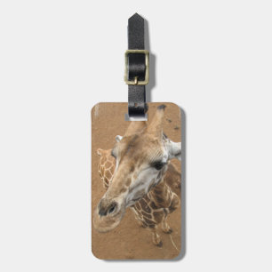 Giraffen-Anstarren-Gepäckanhänger Gepäckanhänger