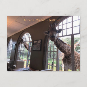 Giraffen auf dem Giraffe-Schloss in Nairobi Postkarte