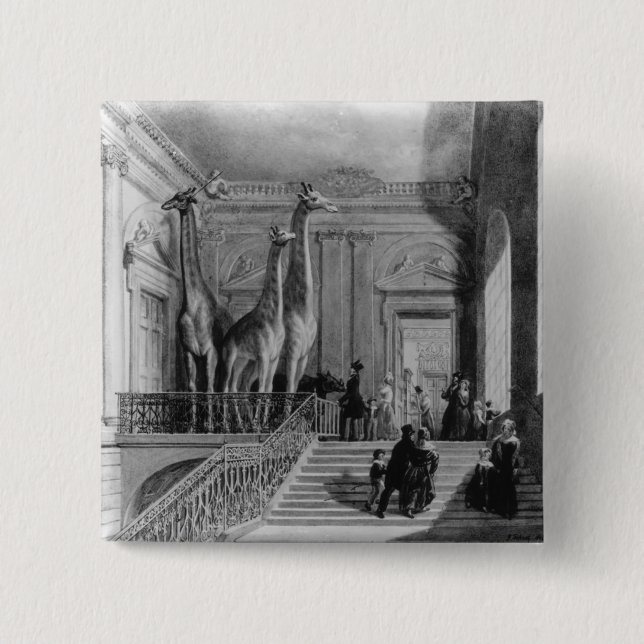 Giraffen auf dem Treppenhaus in den Briten Button (Vorderseite)