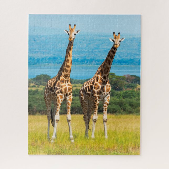 Giraffen auf der Savanna, Uganda Puzzle (Vertikal)