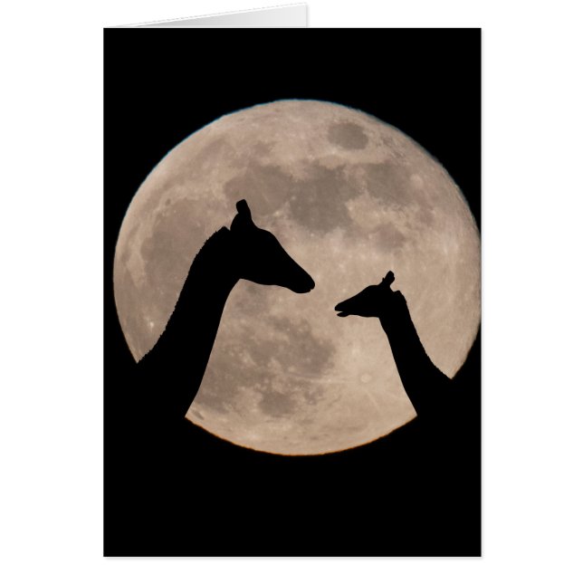 Giraffen auf Vollmond (Vorne)