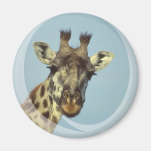 Giraffen-Entwurfs-Magnet Magnet