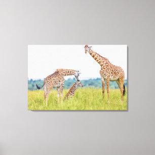 Giraffen-Familie Getty Bild- Leinwanddruck
