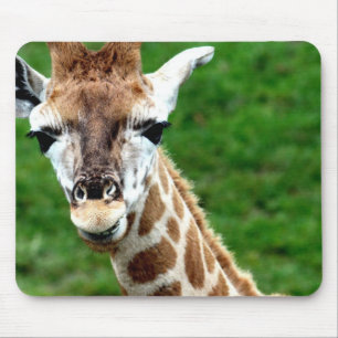 Giraffen-Foto-Mausunterlage Mousepad