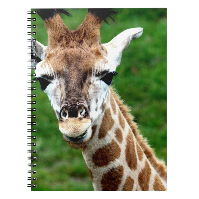 Giraffen-Foto-Notizbuch Notizblock (Vorderseite)