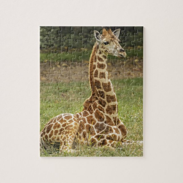 Giraffen-Foto Puzzle (Vertikal)
