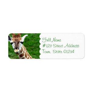 Giraffen-Foto-Rücksendeadressemailings-Aufkleber