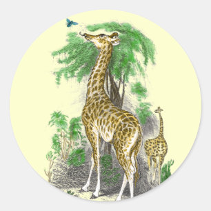Giraffen-Geburtstagsaufkleber Runder Aufkleber