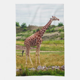 Giraffen-Geschirrtuch Geschirrtuch