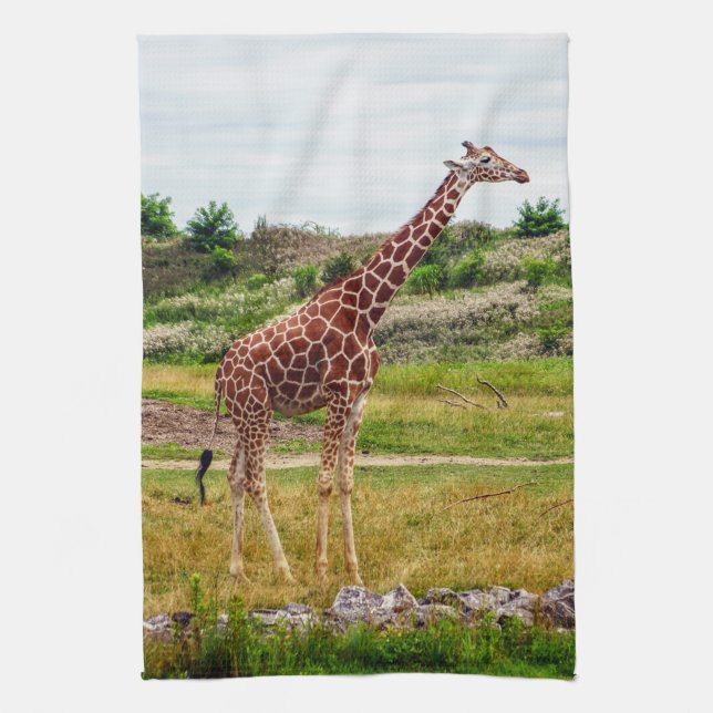 Giraffen-Geschirrtuch Geschirrtuch (Vertikal)