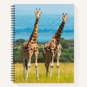 Giraffen in der Savanne, Uganda Notizbuch