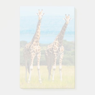 Giraffen in der Savanne, Uganda Post-it Klebezettel