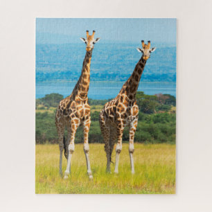 Giraffen in der Savanne, Uganda Puzzle